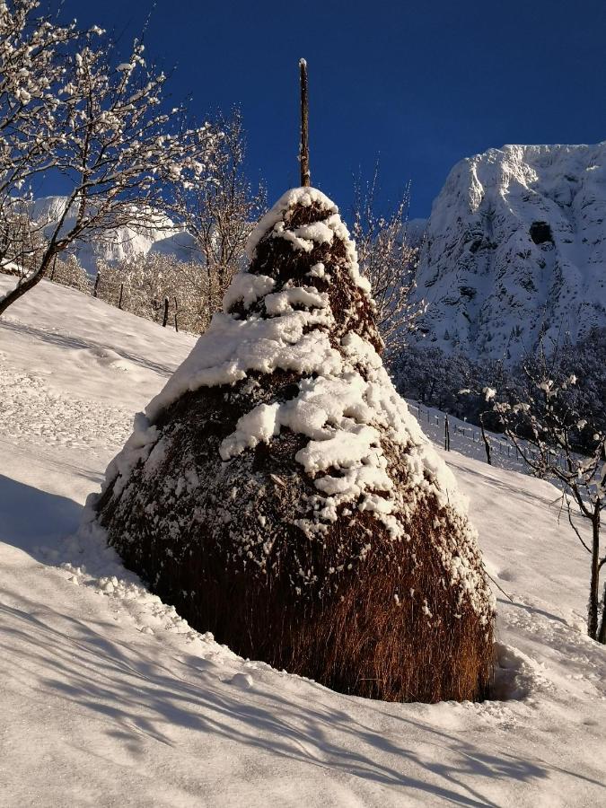 Mountain Lodge Forte Emilia Kobarid Bagian luar foto