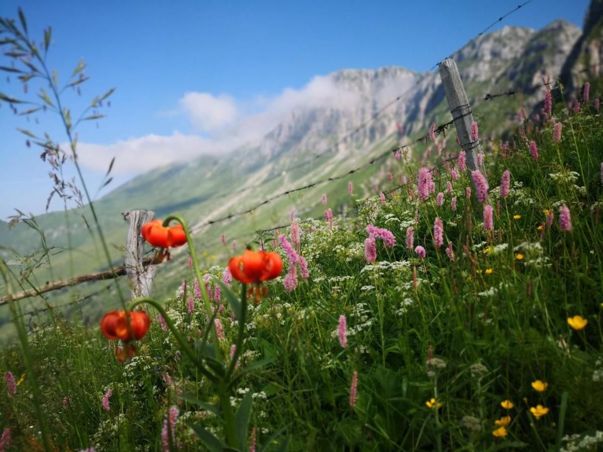 Mountain Lodge Forte Emilia Kobarid Bagian luar foto