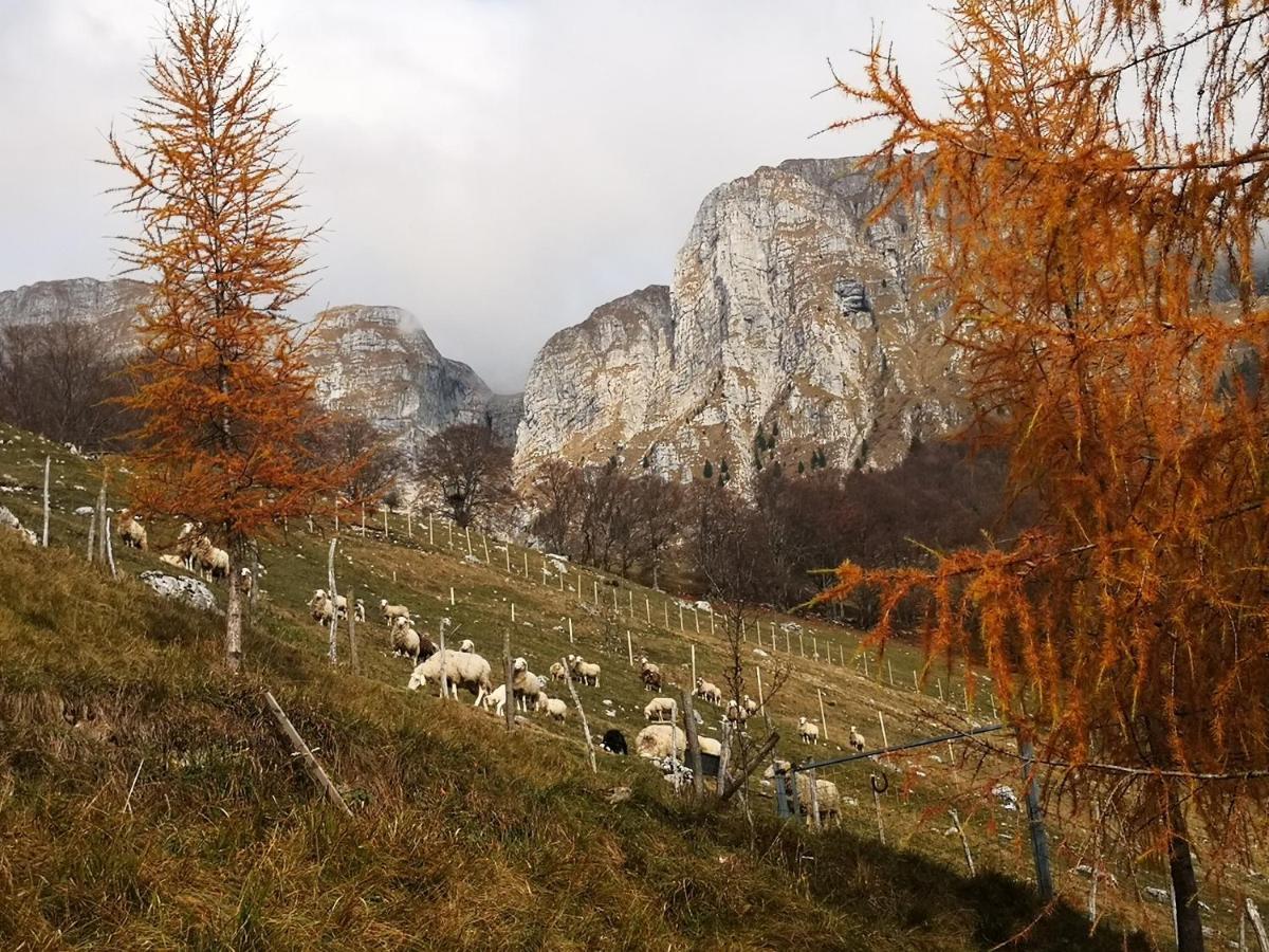 Mountain Lodge Forte Emilia Kobarid Bagian luar foto