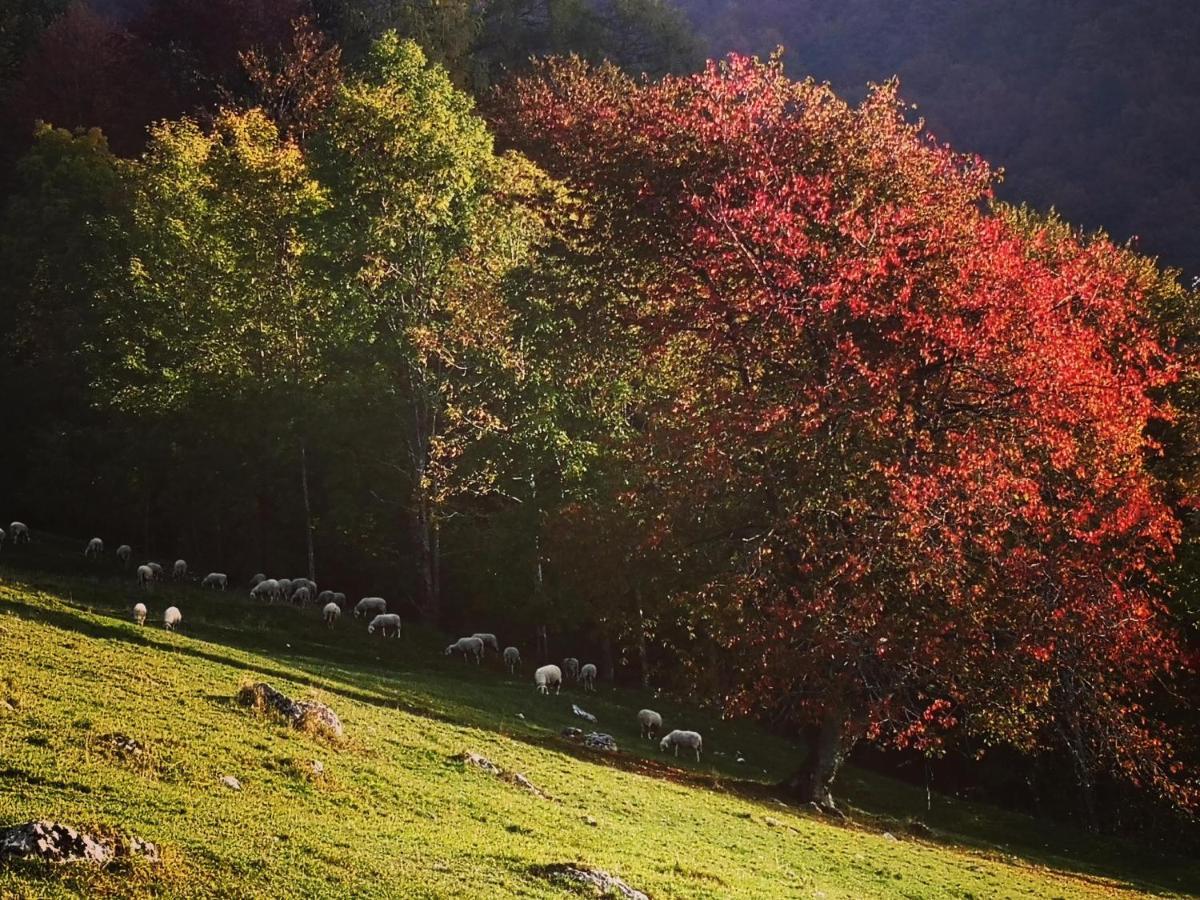 Mountain Lodge Forte Emilia Kobarid Bagian luar foto