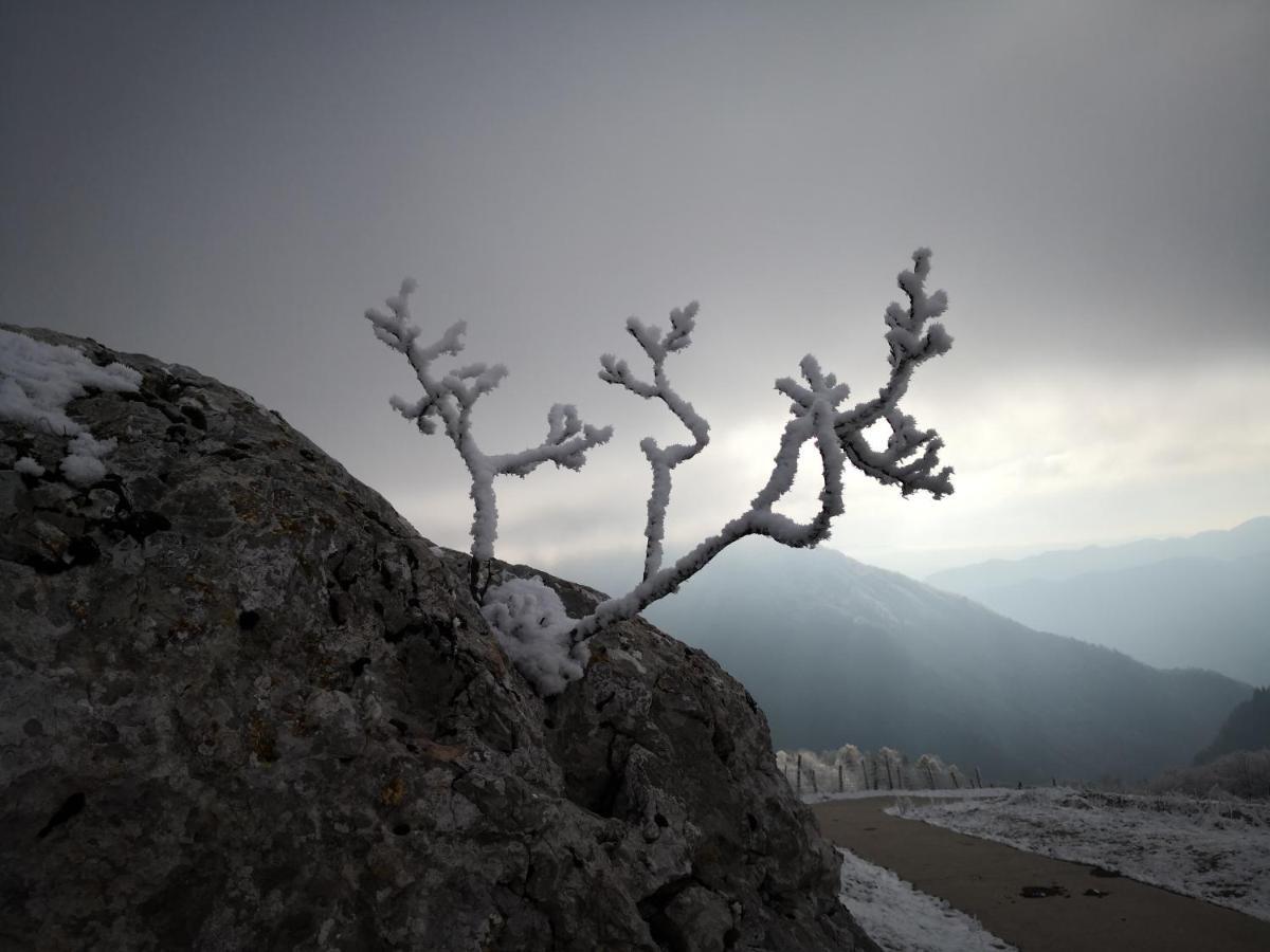 Mountain Lodge Forte Emilia Kobarid Bagian luar foto