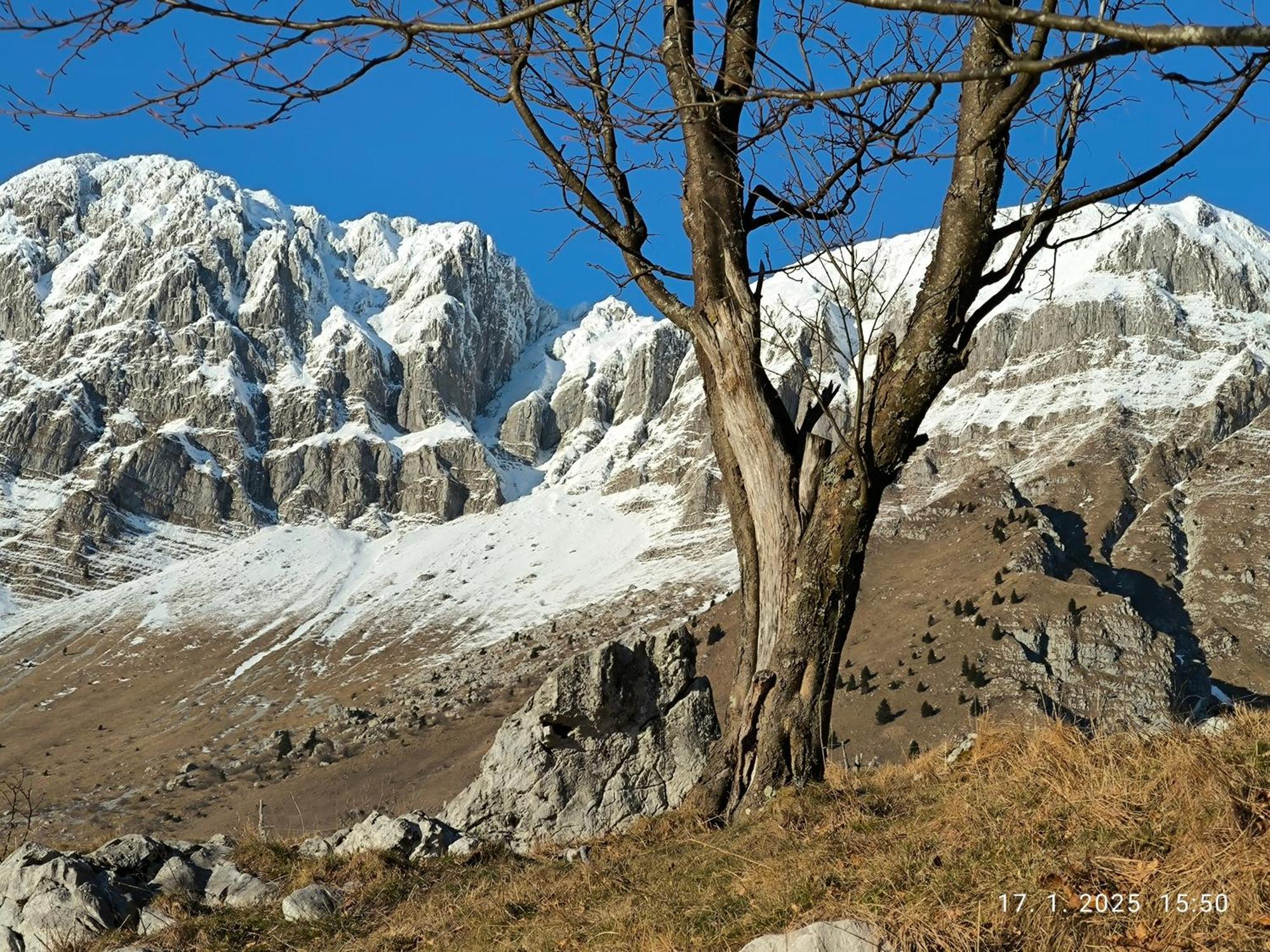 Mountain Lodge Forte Emilia Kobarid Bagian luar foto